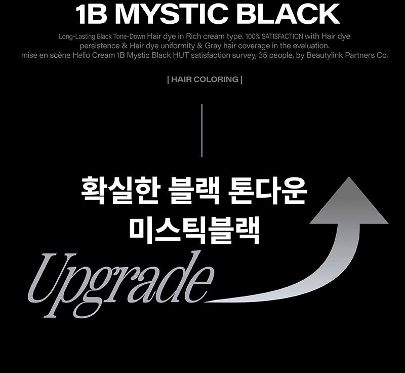 1B MYSTIC BLACK