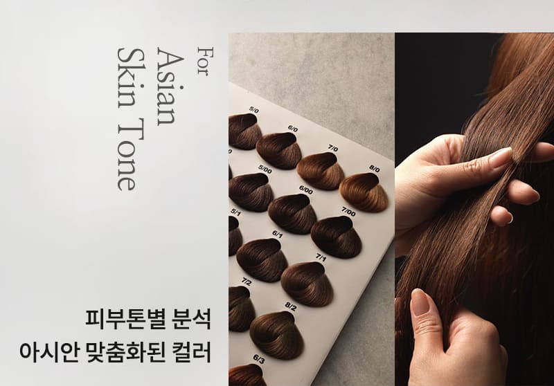 For Asian Skin Tone 피부톤별 분석 아시안 맞춤화된 컬러