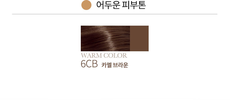 어두운 피부톤 WARM COLOR 6CB 카멜 브라운