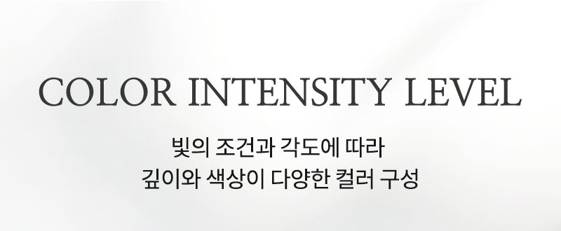 COLOR INTENSITY LEVEL 빛의 조건과 각도에 따라 깊이와 색상이 다양한 컬러 구성